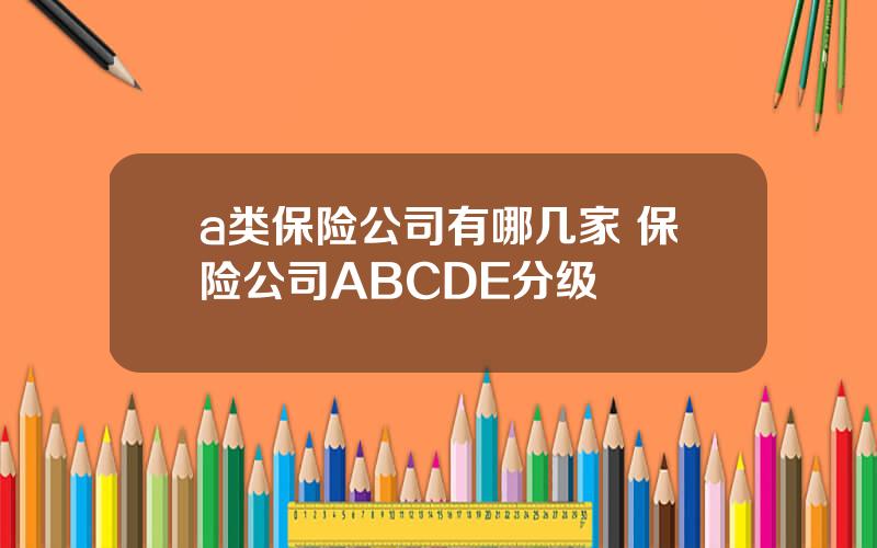 a类保险公司有哪几家 保险公司ABCDE分级